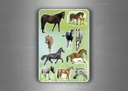 Stickers childrens animal horse decoration kids labels scrapbook card making