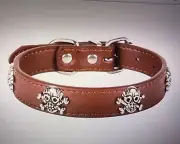 Skull Head Leather Dog Collar Coffee Small