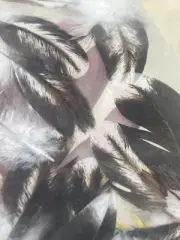 Random Feather Mix 20+ Pieces, Black/white Pheasant Feathers. Natural 5-15cm