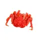 【萬象極品】帝王蟹/約2.8kg以上/隻~蟹肉鮮甜滋味讓人吮指回味 偶爾犒賞一下自己