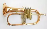 Funion Bb Flat Flugelhorn Set Rose Brass Body Cupronickel Tuning Sliding Pipes