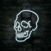 Haunted Skull Sugar 20"x16" Neon Sign Lamp Bar With Dimmer