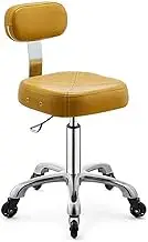 Adjustable Rolling Stool,Swivel Saddle Stool with Wheels,Chairs Support Ergonomic for Salon Clinic Lab Office Home Studio(with backrest 2)