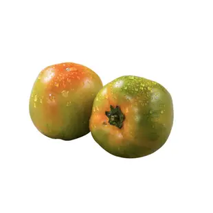 菜霸子 黑柿番茄 300g±10%(約2-3入) 官方直營