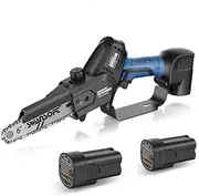 6' Mini Chainsaw w/Automatic Lubrication, 500W 16.8V 2x2.5Ah, Professional Level Cordless Chainsaw for Garden or Orchard
