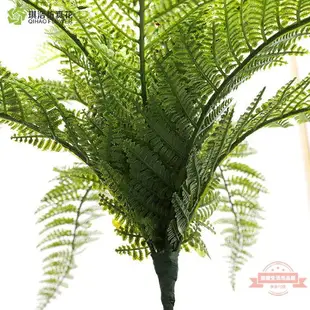 仿真波斯蕨 造景裝飾蕨類植物波斯草植物墻塑料綠草