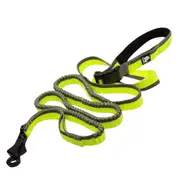 Elastic Bungee Dog Rope Leash