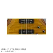 YAMAHA TRBX605FM DRB 5 String Bass