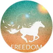 Machine Washable Round Area Rug Indoor Ultra Soft Bedroom Floor Sofa Living Room Dorm Small Circular Carpet, Horse Freedom