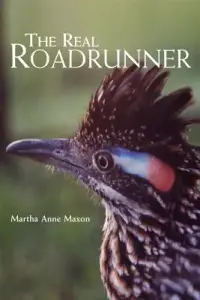 在飛比找博客來優惠-The Real Roadrunner