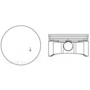 Austral Piston Set - PO1613 STD