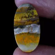 13.50 Ct 100%Natural BumbleBee Jasper Oval Cabochon Gemstone For Pendant Jewelry