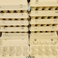 在飛比找蝦皮購物優惠-天龍紡－紙蛋盒10粒入(台灣製造)－#蛋盒#雞蛋盒#紙蛋盒#