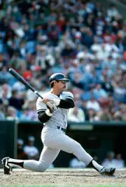 Reggie Jackson of the New York Yankees 1981 Baseball Photo 5