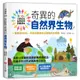 小學生的自然科學素養讀本：奇異的自然界生物！(一堂結合SDGs、科學知識與多元習題的自然課)(陳馬克、吳芸蓁) 墊腳石購物網