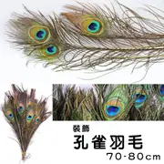 中號 羽毛 孔雀毛 孔雀羽毛 (70-80CM) 10入 插花居家 DIY佈置 婚慶擺設 花瓶裝飾 (3.8折)