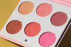 Authentic OFRA MINI MIX PALETTE - BLUSHFUL