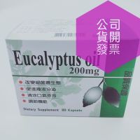 維立清 尤加利油膠囊80粒/盒現貨合氣清200mg 德國進口效期2024/01惠速通 惠益清 可得清