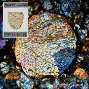 STUNNING!! Meteorite thin section with big chondrules for polarised microscope
