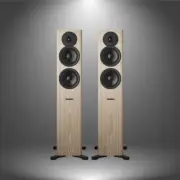 Dynaudio Evoke 30 Blonde Wood Standlautsprecher Paar
