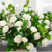 在飛比找樂天市場購物網優惠-五頭薔薇玫瑰仿真花假花花瓶套裝房間臥室客廳干花束裝飾餐桌花卉