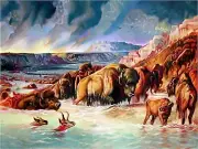 Prairie Fire Accent Tile Mural Kitchen Bathroom Wall Backsplash Marble Ceramic