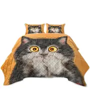 Funny Painted Cats Grey Kitten in Shock Coverlet