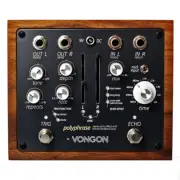 Vongon Polyphrase Stereo Echo Effect Pedal with Infinite Feedback Loop