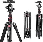 [BONFOTO] B690A Camera Tripod for Travel,Lightweight Aluminum Portable DSLR Tripod with 360 Degree Ball Head and Carry Bag, Camera Stand for Ring Light & Canon Nikon Sony DSLR