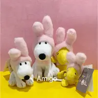 在飛比找蝦皮購物優惠-現貨！ 日本正版 2023 Peanuts 吉德大光 Sno