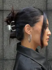 Swain Claw Clip Silver