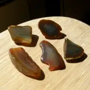 5 Agate Geode Slices Polished Display Stones Banded Brown Crystals 1.25 Lbs Lot