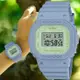 CASIO G-SHOCK 植物設計電子腕錶 GMD-S5600NC-2