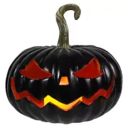 Lighted Black Jack-O'-Lantern With Timer