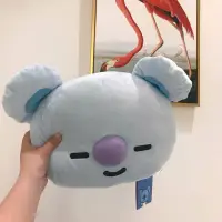 在飛比找蝦皮購物優惠-BT21 Koya考拉娃娃二手