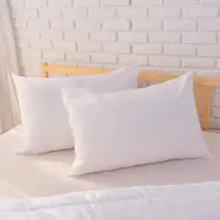 在飛比找momo購物網優惠-【dreamer STYLE】高彈力白淨舒眠枕(2入)