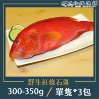 在飛比找PChome24h購物優惠-【北海漁鋪】野生紅條石斑300-350g*3包