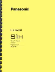Panasonic Lumix S1H Camera Owner's Manual