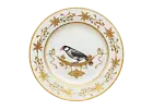 Richard Ginori - voliere - dinner plate Decorum Java Sparrow ø CMS 26,5 - Dealer