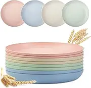 HUIRUMM 8 Pack Plastic Plates,10 Inch Plastic Reusable Dinner Plates,Camping Outdoor Plates Sets, for Kitchen, Dorm Room, Microwave Dishwasher Safe,Lightweight