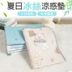 【L號】夏日冰絲涼感墊 地墊 沙發墊 冰絲墊 寵物冰絲墊 寵物乳膠墊 貓狗冰絲墊 夏天涼墊