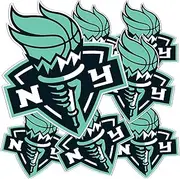Desert Cactus New York Liberty Sticker WNBA Women's National Basketball Association Officially Licensed Vinyl Decal Laptop Water Bottle Car Scrapbook (Type 3-1)