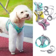Dog Harness Leash Set Adjustable Puppy Cat Harness Outdoor Walking For Small Dog