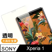 在飛比找PChome24h購物優惠-SONY Xperia 1 9H 鋼化玻璃膜 透明 手機 保