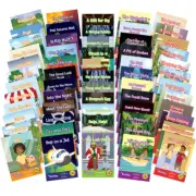 Phase 2 to 6 The Beanies Hi-Lo Diversity Decodable Readers Library - Special Nee