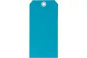 Avery 18120 Shipping Tag Size 8 160x80mm Blue Box 1000