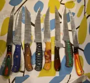 10 pcs Lot Handmade Damascus Steel Fillet Knife Diffrent handle