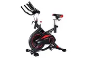 Powertrain RX-900 Exercise Spin Bike Cardio Cycling - Red