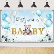 We Can Bearly Wait Baby Shower Decoration for Boy, Teddy Bear Sky Blue and White Balloons Backdrop Banner Sign, Photography Background for Baby Shower Party Supplies