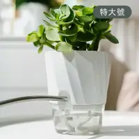 在飛比找momo購物網優惠-【JOHN HOUSE】帶補水口自動吸水花盆 透明花盆 植物